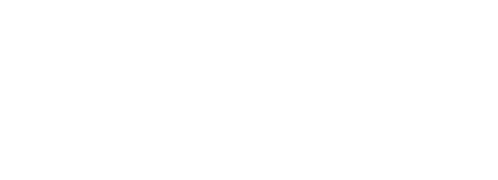 mariafernandalingerie